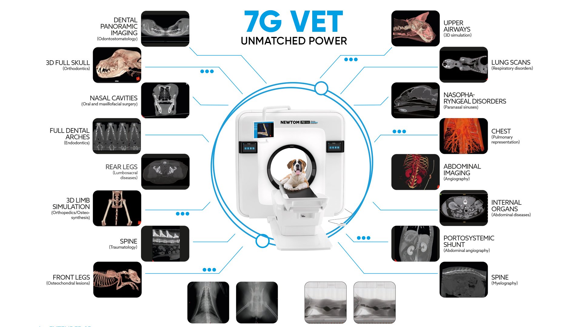 7G vet applications